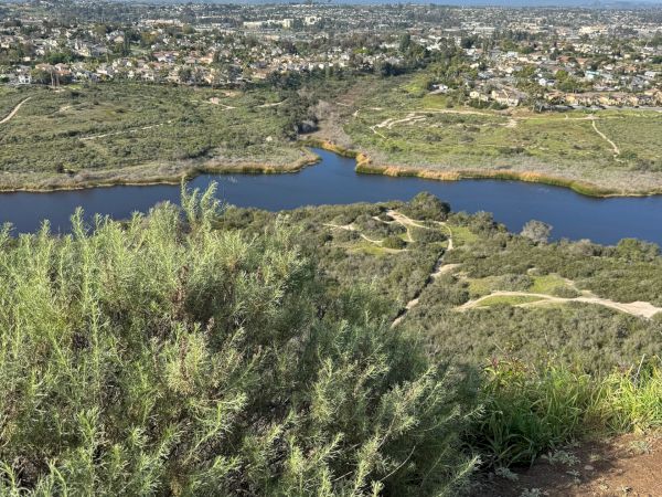 A hillside view of a winding river, green scrubland, and a sprawling town under a clear blue sky.