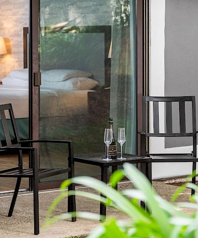 A cozy patio by a glass door: two chairs, a table with a wine bottle and two glasses, and greenery outside.