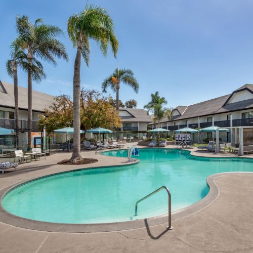 An outdoor hotel pool with sun umbrellas, loungers, and palm trees under a clear blue sky.